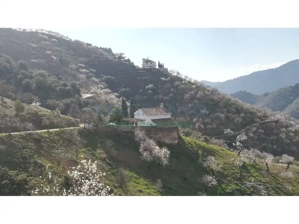 Terrenys i solars en venda a Camino Lagar Brun Bajo