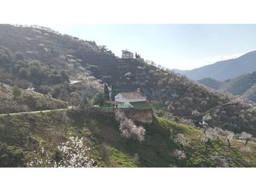 Rustikales Grundstück zum Verkauf in Camino Lagar Brun Bajo