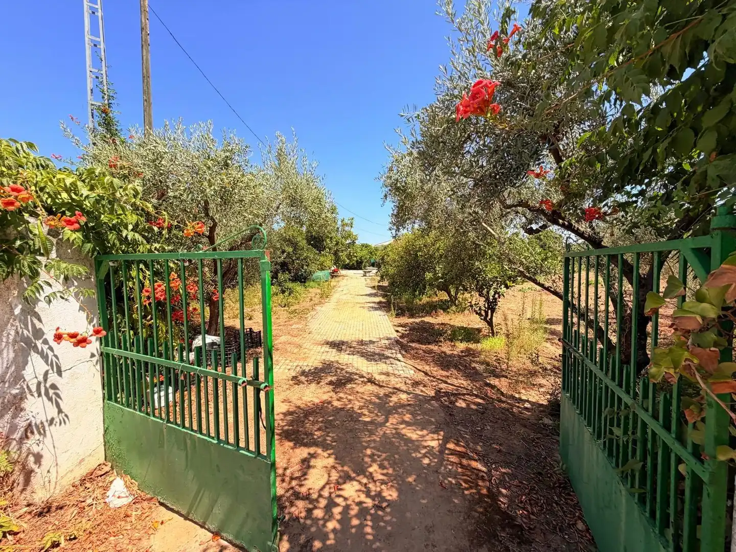 Casa o chalet en venta en Valverde de Mérida con Jardín privado, Terraza y Trastero