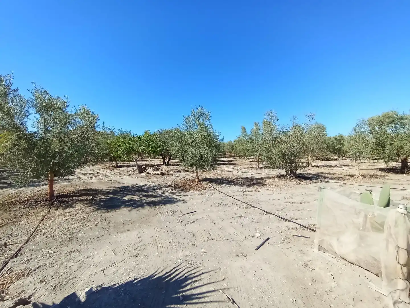 Terreni e lotti in vendita a Pedanías Sur, imagen 19