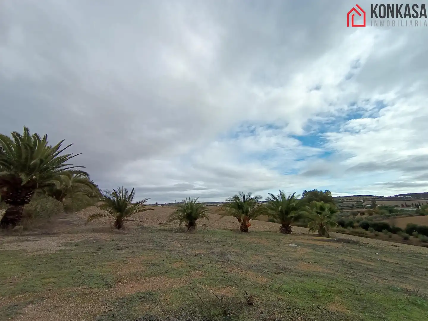 Casa rústica en venda a Arcos de la Frontera, imagen 19