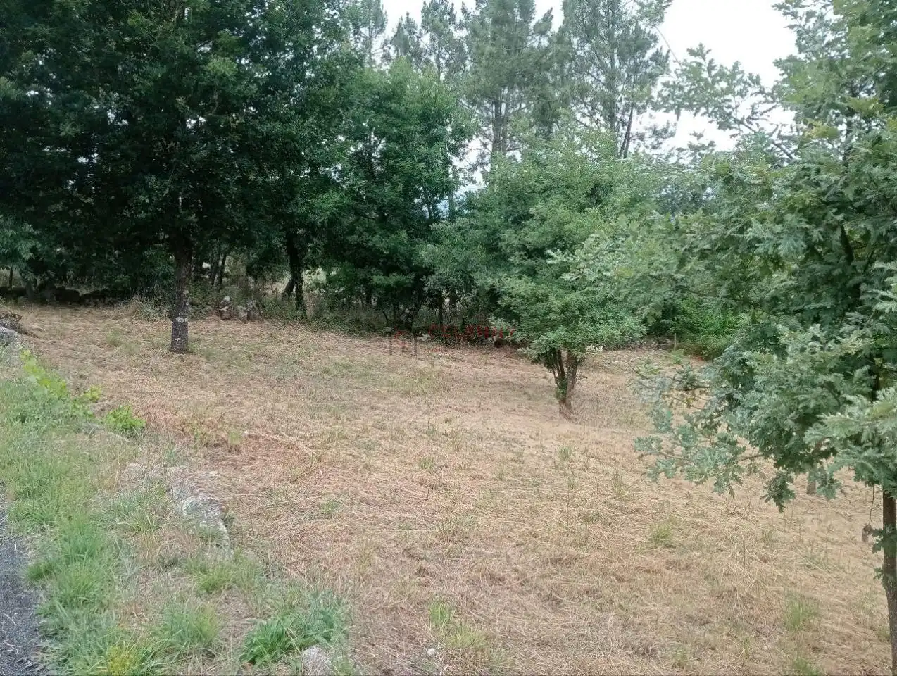 Terreni e lotti in vendita a San Cibrao das Viñas, imagen 10