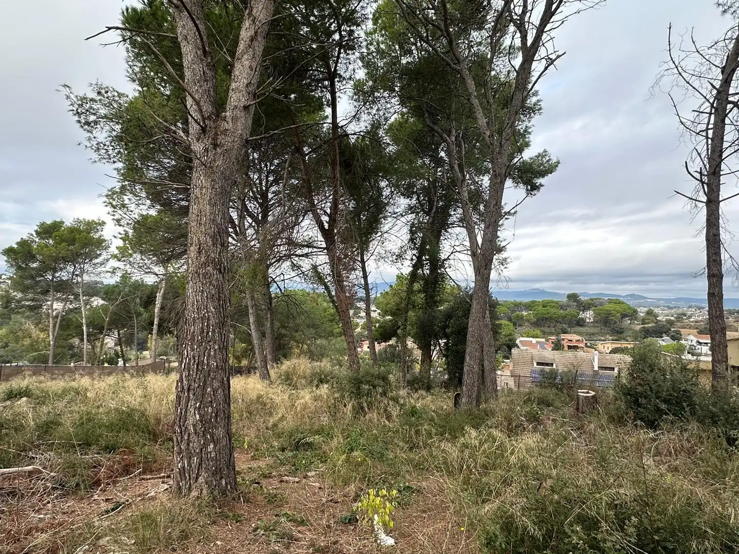 Lands and plots for sale in Lliçà de Vall, imagen 6