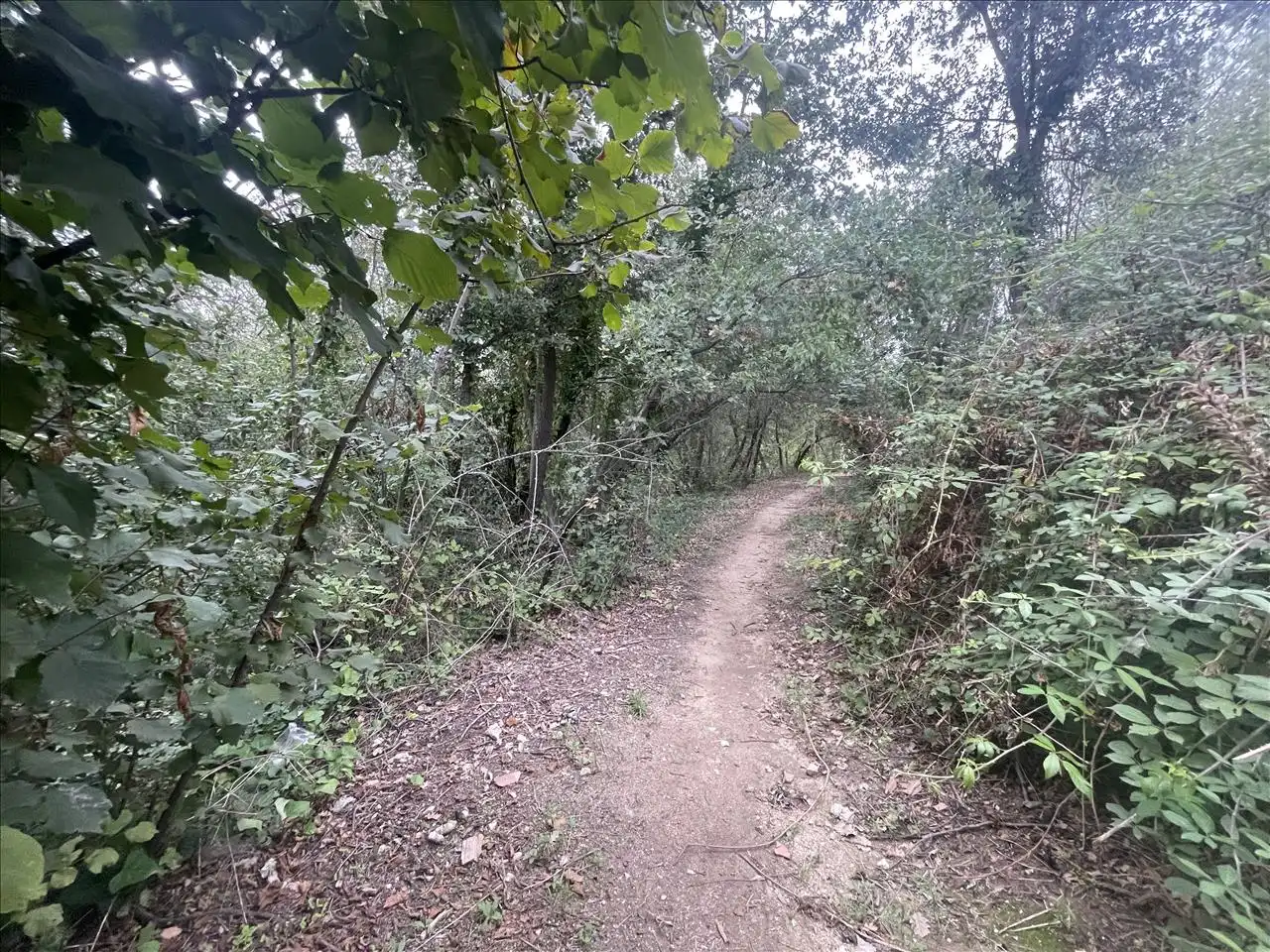 Rural land for sale in PLA DE PALOU, imagen 9