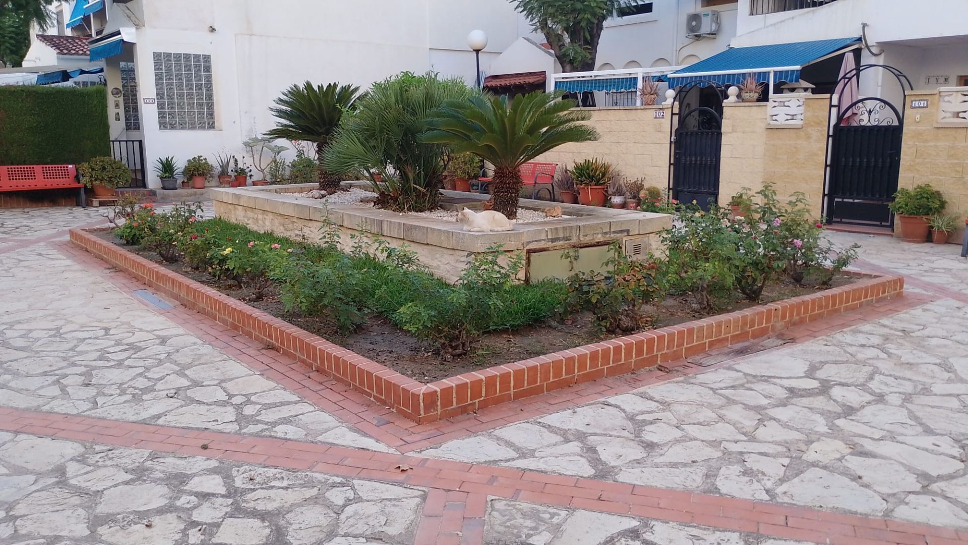 Garden of House or chalet for sale in El Campello