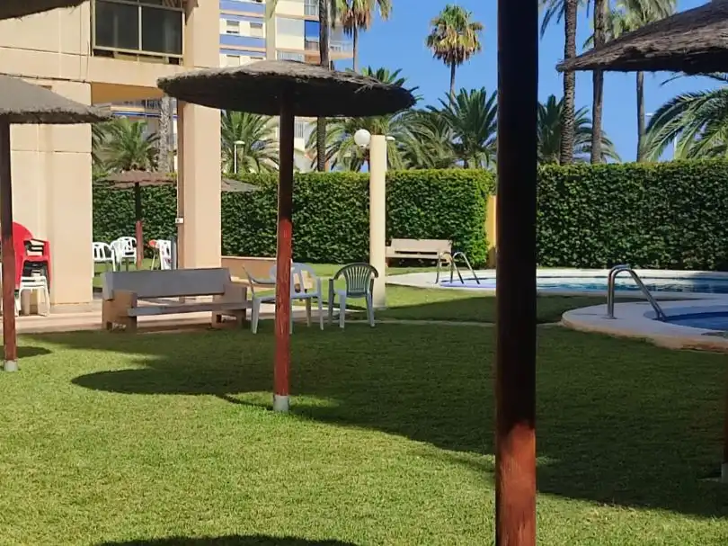 Pis amb piscina de lloguer a C/Jaume Roig 10, imagen 6
