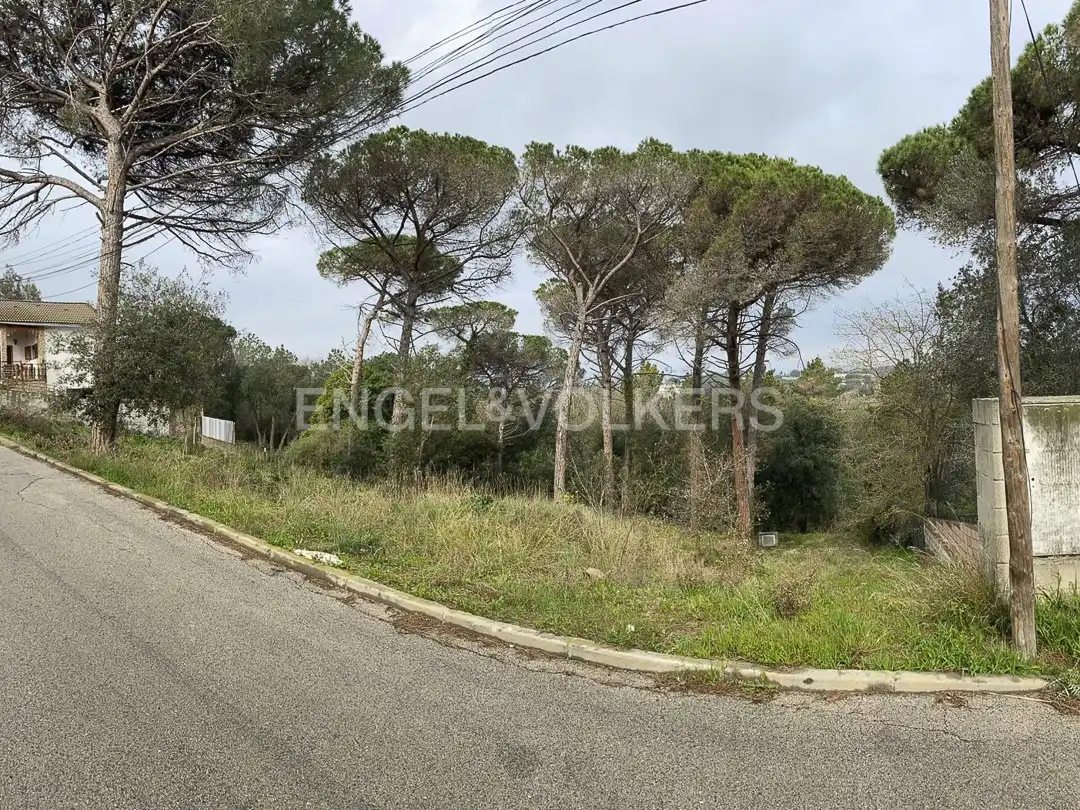 Terreno residencial en venta en Mas Mora - Sant Daniel, imagen 13
