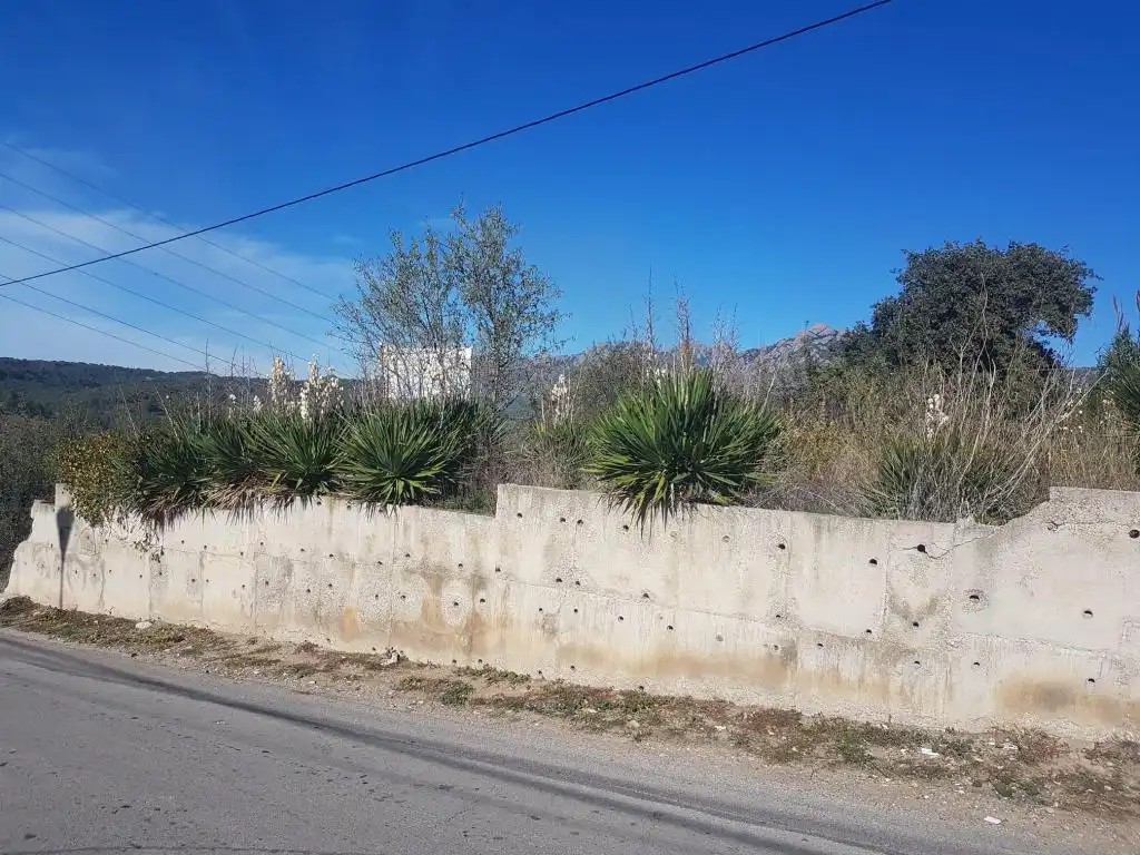Terreno rústico en venta en c/ can fonsalba, imagen 7