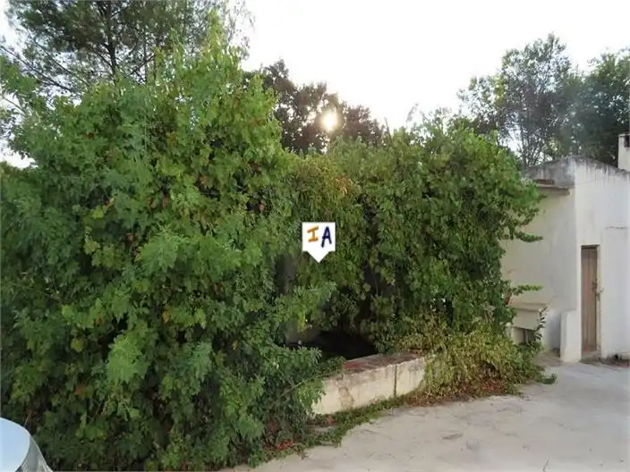 Casa rústica en venda a Fuensanta de Martos, imagen 2