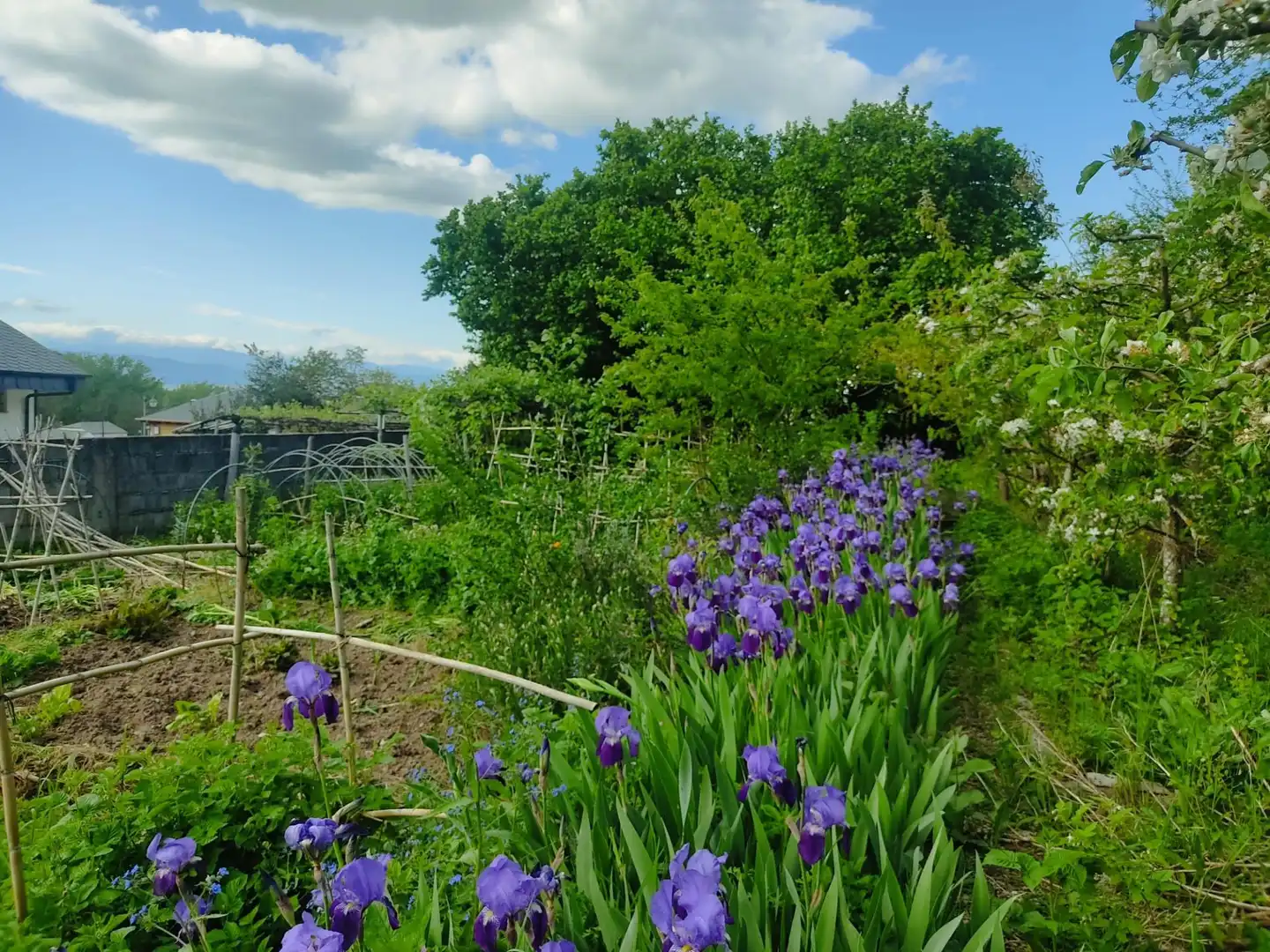 Jardín de Casa o chalet en venta en Ponferrada con Terraza