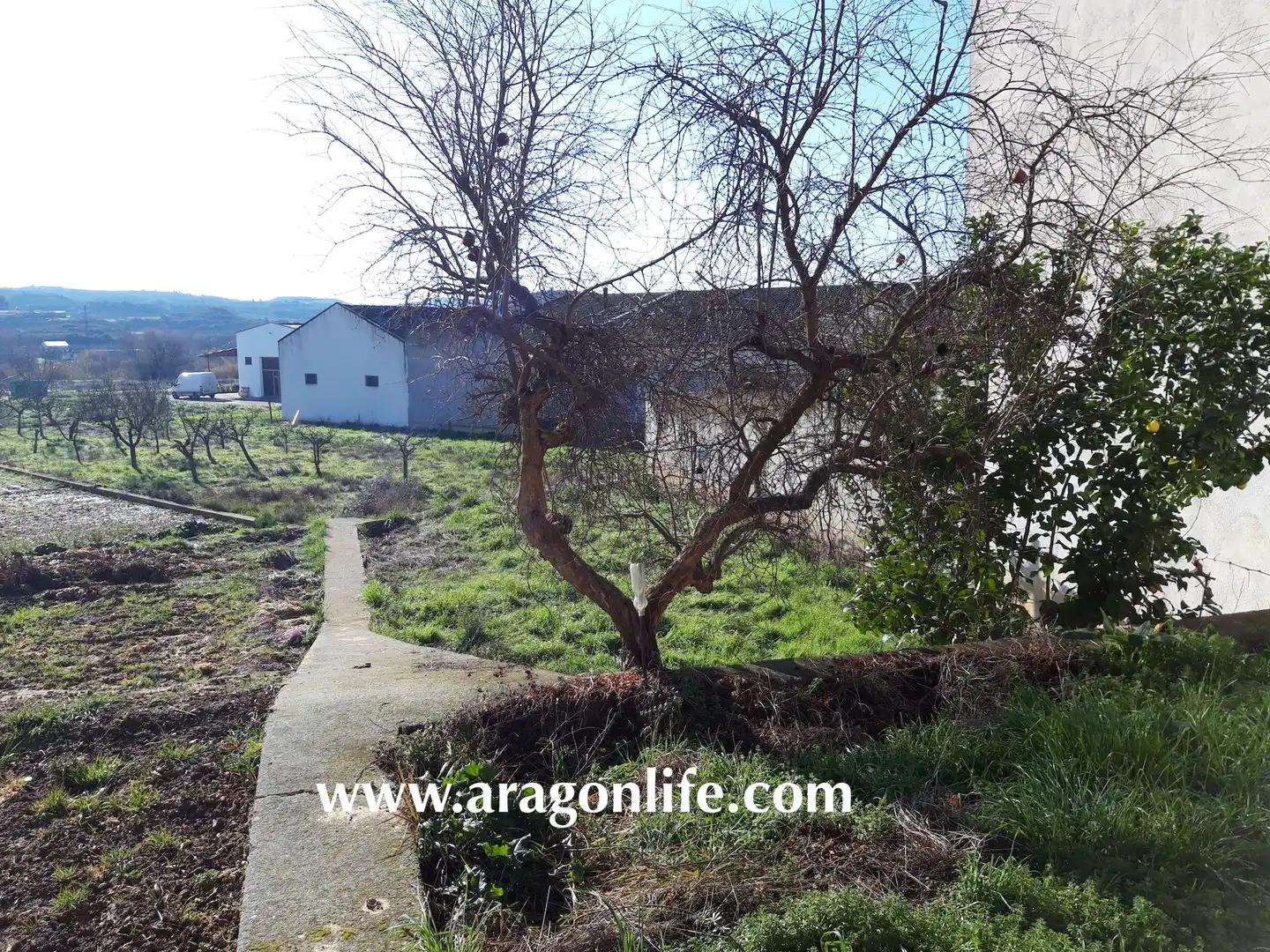 Terreno residenziale in vendita a Maella, imagen 8