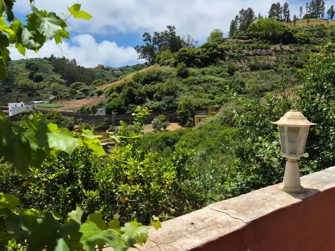 Vista exterior de Planta baixa en venda en Moya (Las Palmas) amb Jardí privat, Parquet i Traster