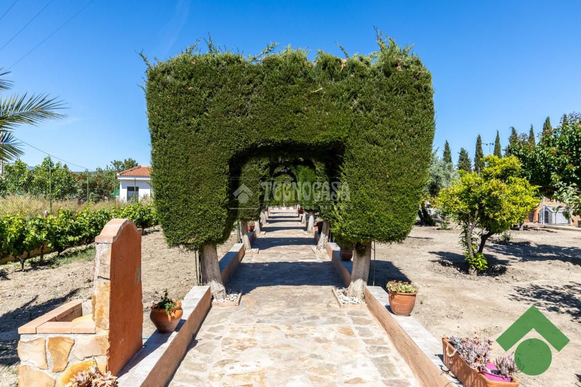 Garden of Country house for sale in Ogíjares  with Private garden and Swimming Pool
