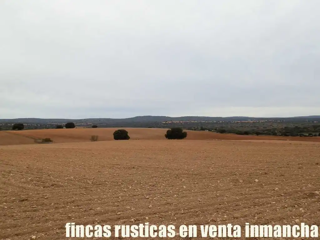 Terreny rústic en venda a Calle Albacete 10, imagen 5