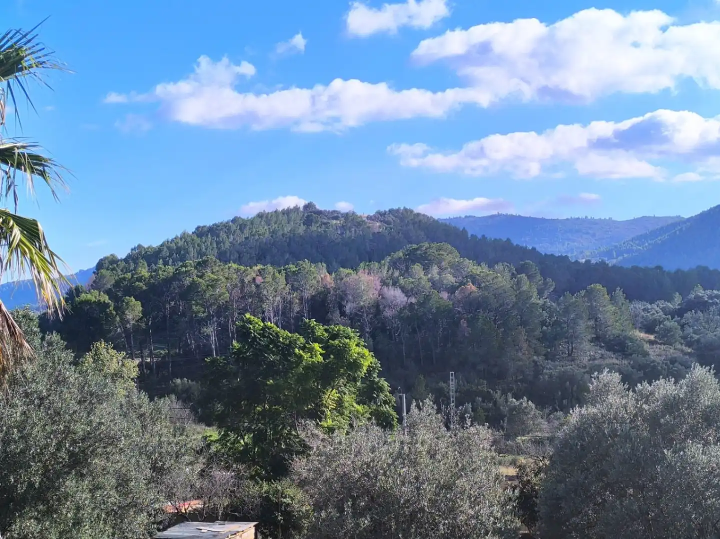 Villa avec piscine à vendre à Parcent, imagen 5