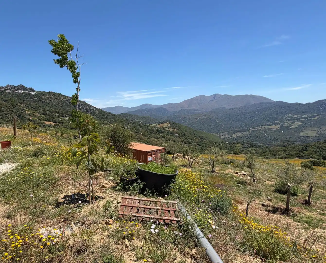 Casa rústica en venda a Gaucín, imagen 9