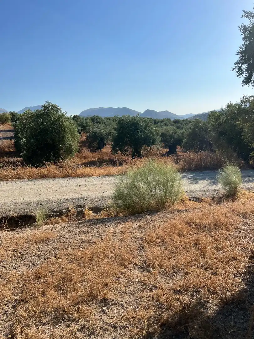 Terreny rústic en venda a Priego de Córdoba, imagen 10