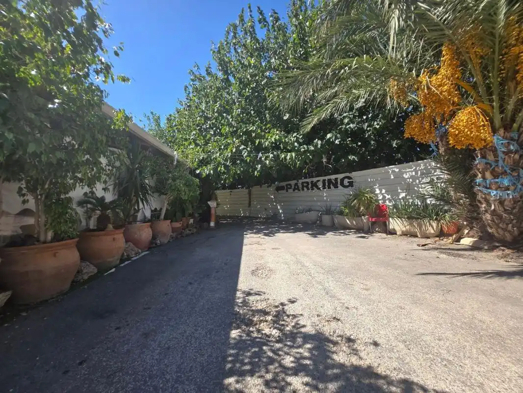 Mixte résidentiel à vendre à Carretera Novelda, imagen 13