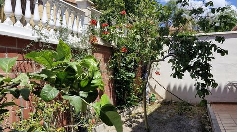 Photo 3 of Houses for sale in Motril ciudad, Motril