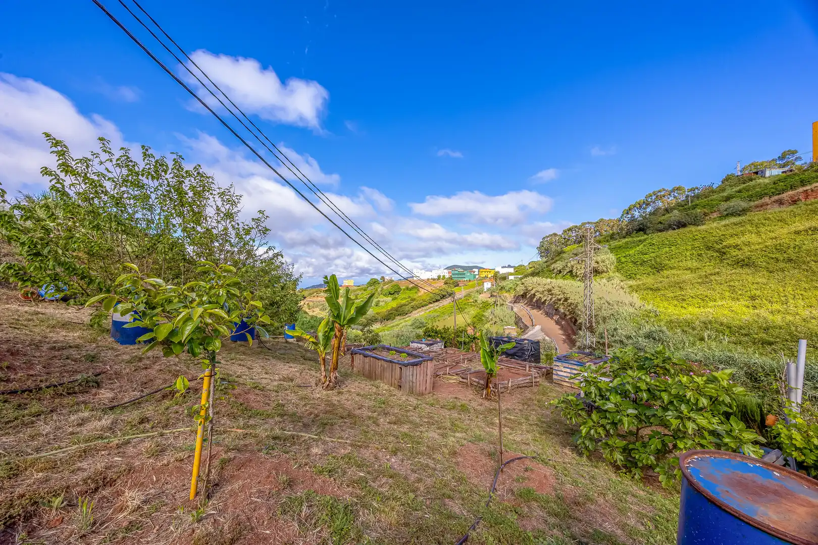 Exterior view of Houses for sale in Santa María de Guía de Gran Canaria  with Private garden, Terrace and Storage room