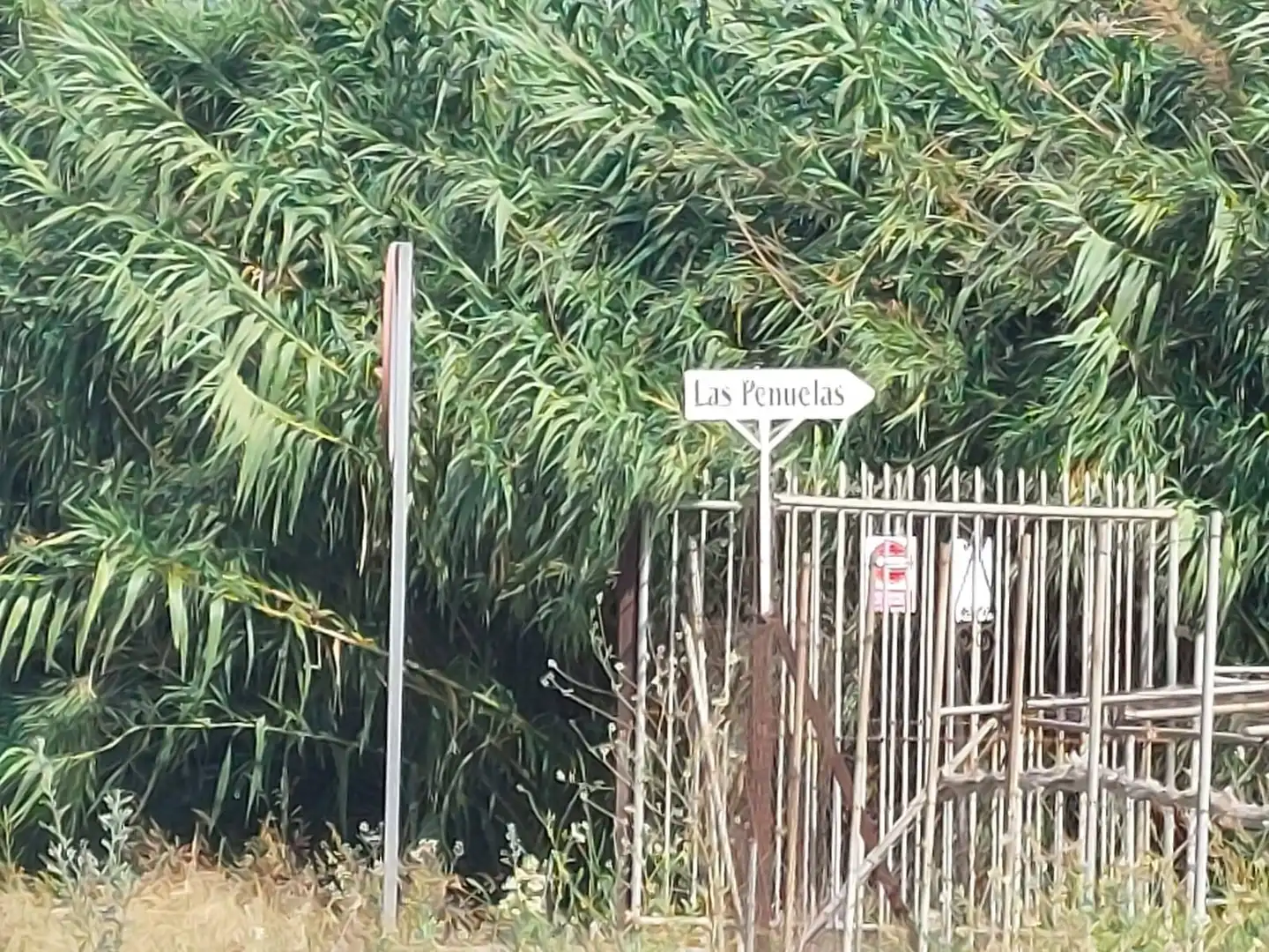 Terreno rústico en venta en Motril  ciudad, imagen 3