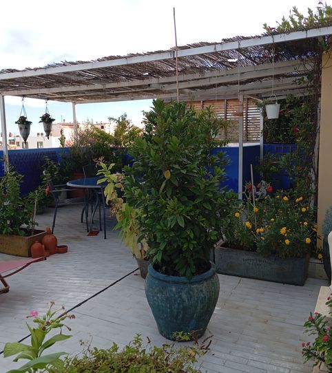 Foto 2 de Ático en venta en Calle de Colón, 21, Campello Playa, El Campello
