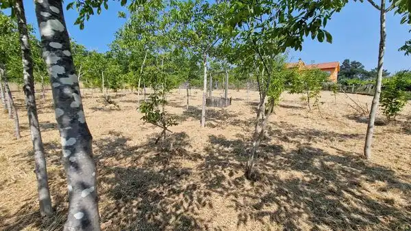 Terreno residenziale in vendita a Camiño do Matadoiro, imagen 6