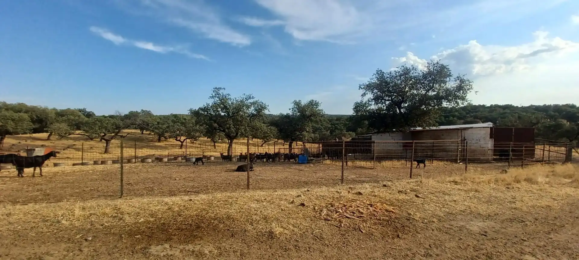 Terreny rústic en venda a Santa Olalla del Cala, imagen 34