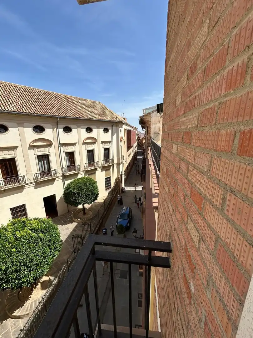 Inmuebles singulares en venta en Centro, imagen 29