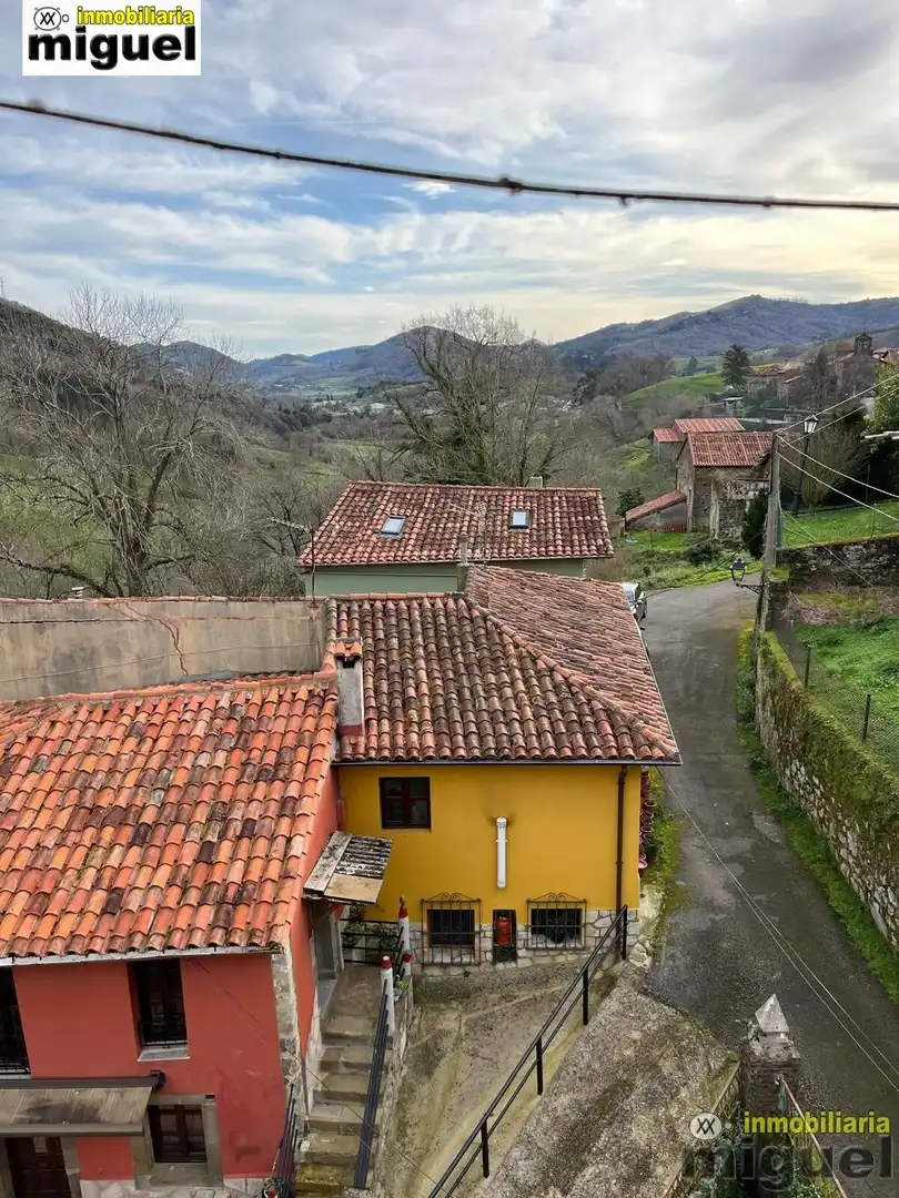 Vista exterior de Finca rústica en venta en Peñamellera Baja con Jardín privado y Terraza