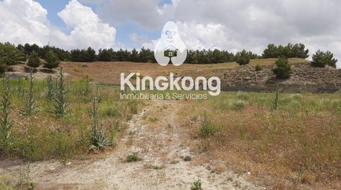 FINCA RUSTICA PARA CENTRO HIPICO, EN VENTA EN LOECHES., immagine 5
