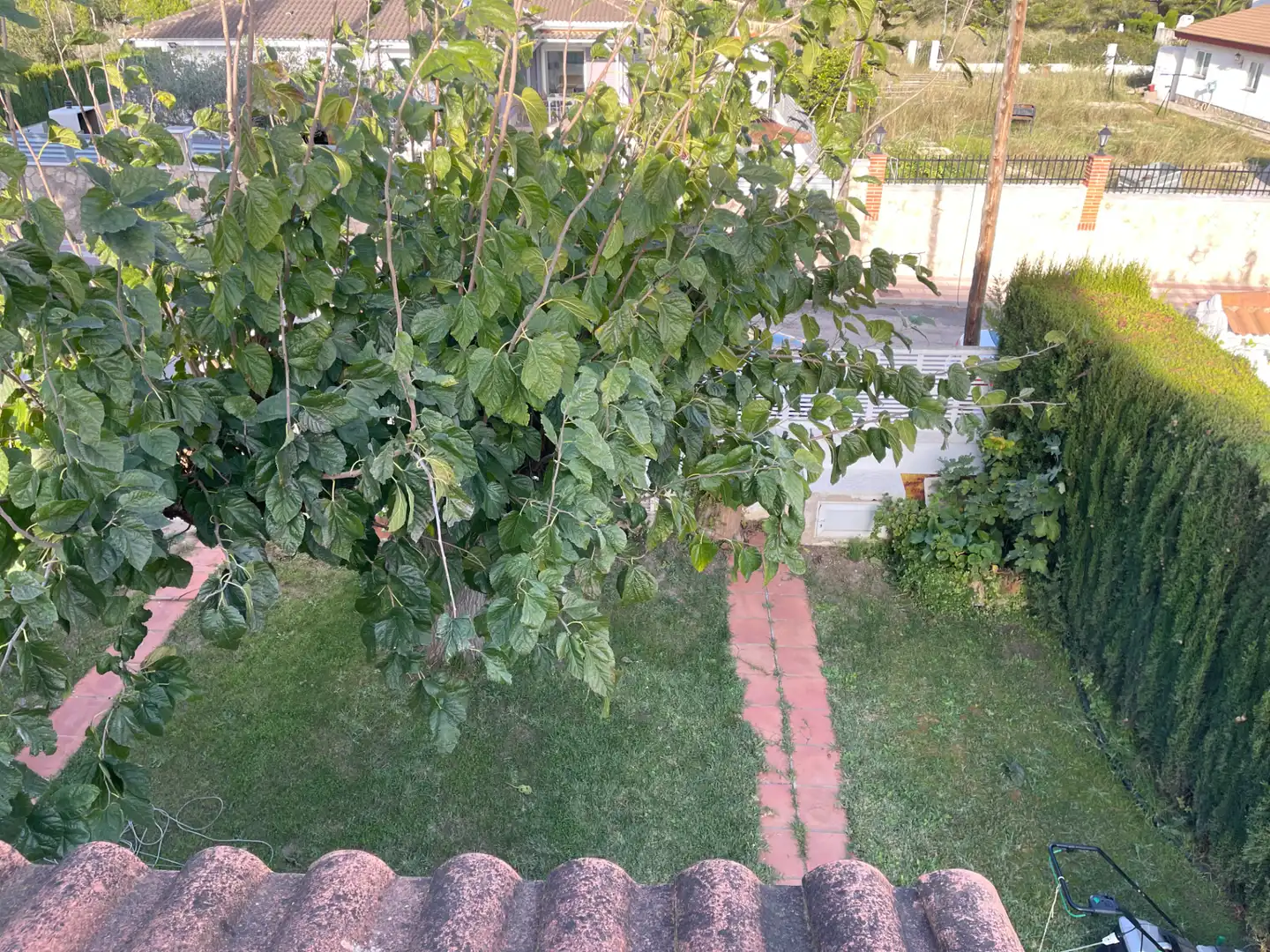 Garten von Haus oder Chalet zum Verkauf in L'Ametlla de Mar  mit Privatgarten, Terrasse und Abstellraum