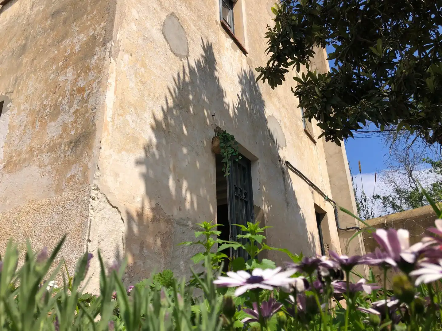 Exterior view of Industrial buildings for sale in Sant Feliu de Guíxols