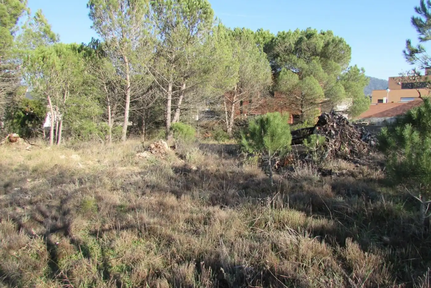 Lands and plots for sale in La Pobla de Claramunt, imagen 9