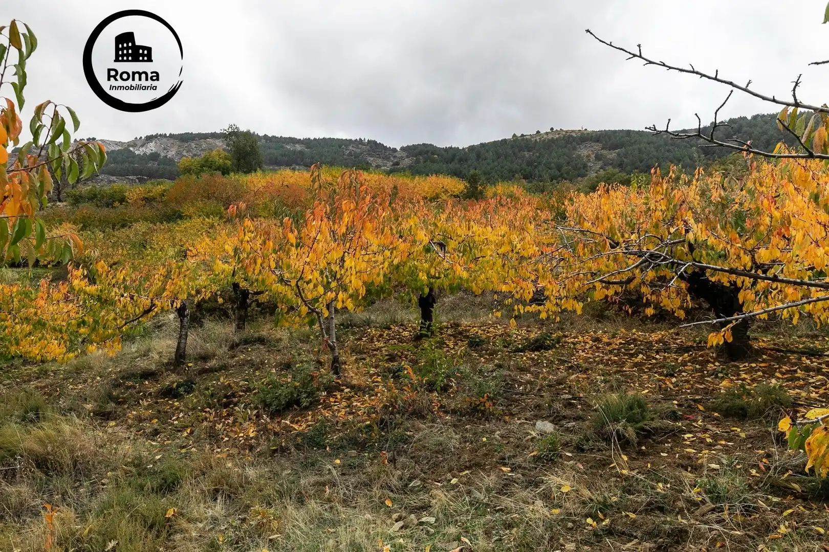 Lands and plots for sale in Güéjar Sierra, imagen 14