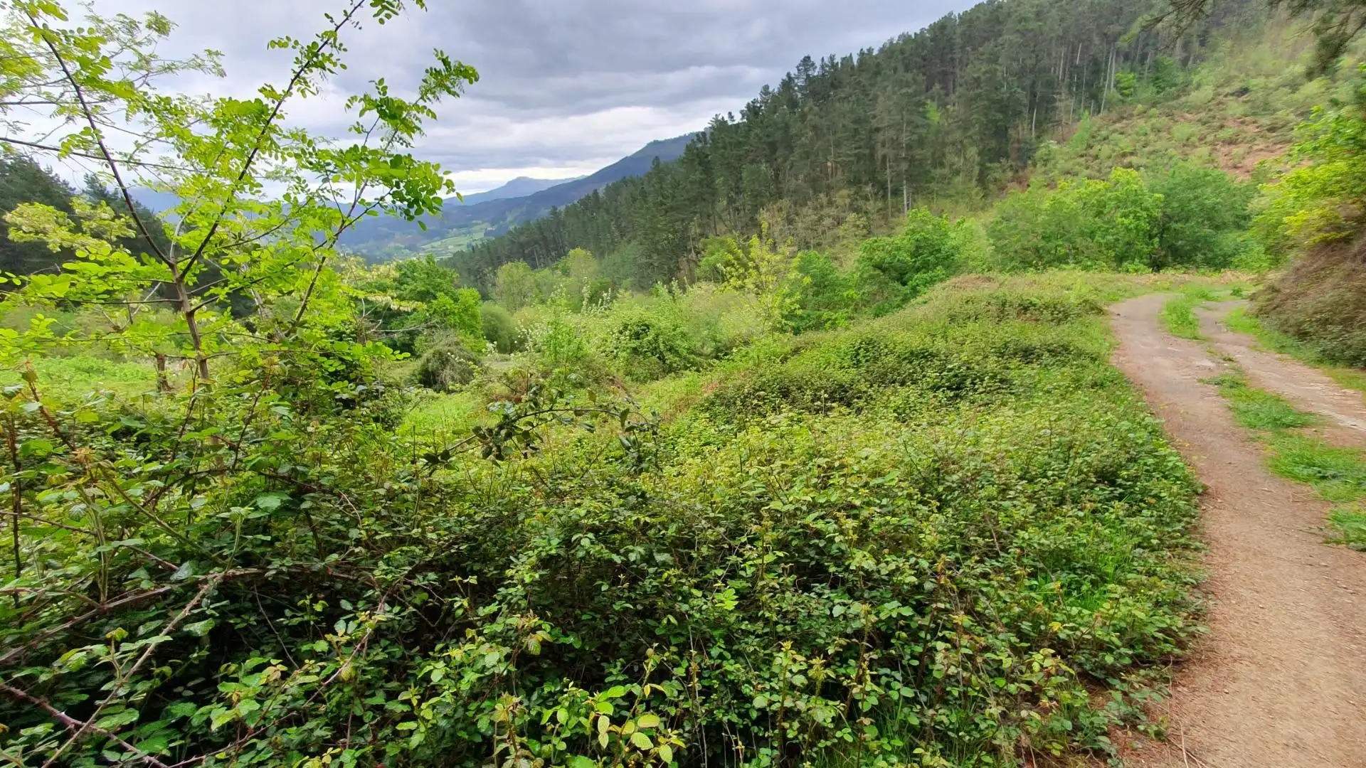 Land for sale in Laudio / Llodio