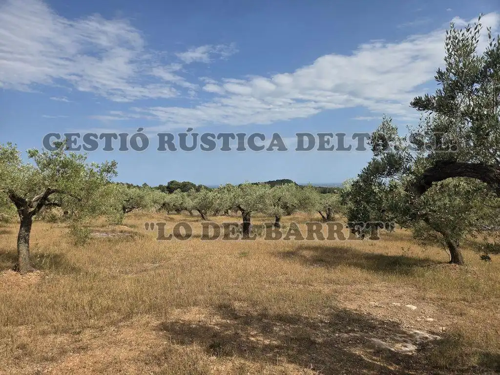 Finca rústica en venda en El Perelló