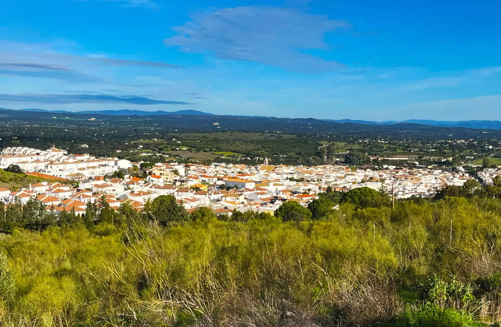 Chalet con piscina en venta en Urbanizacion SIERRA NORTE, imagen 39