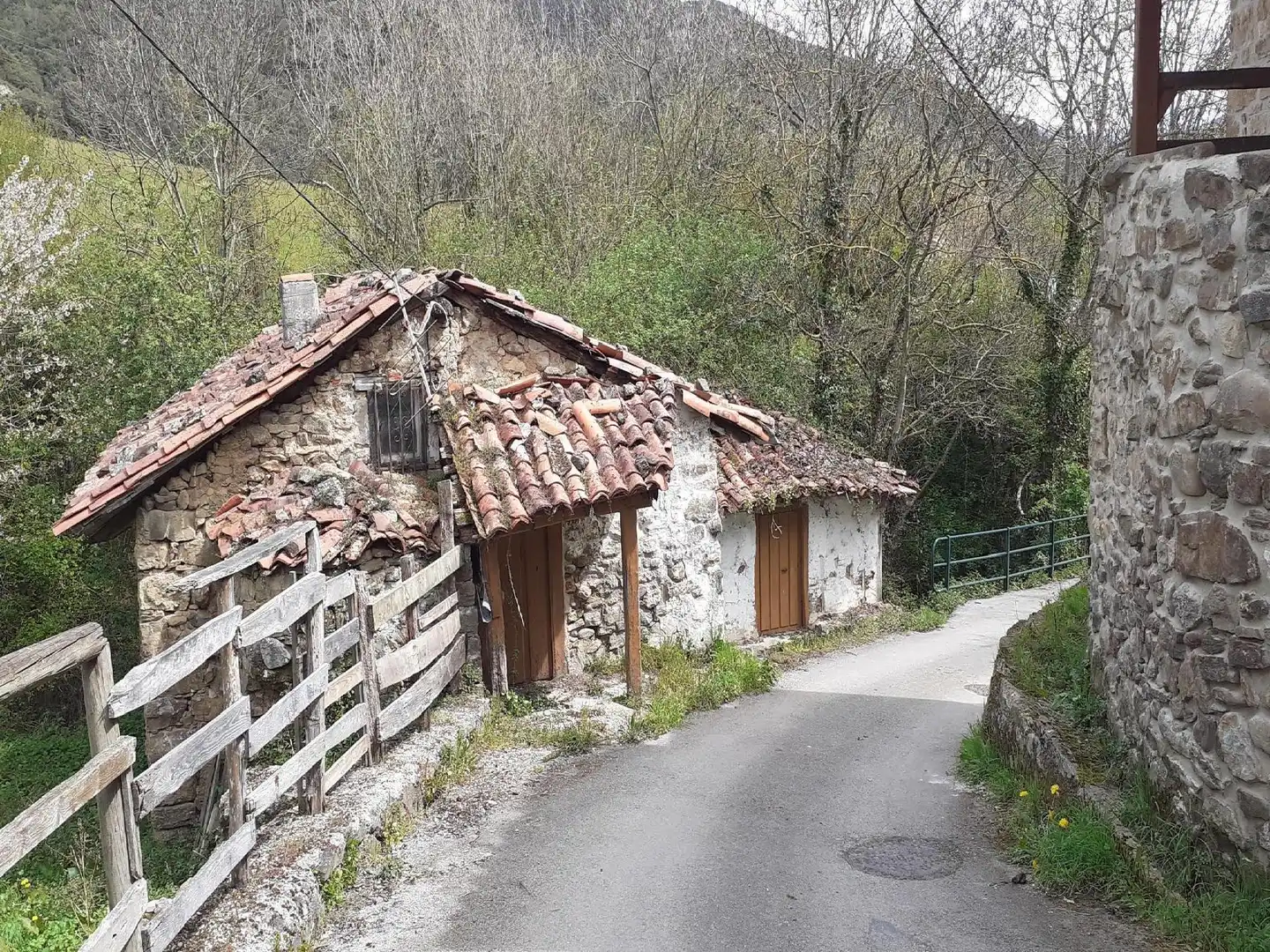 Exterior view of Houses for sale in Camaleño