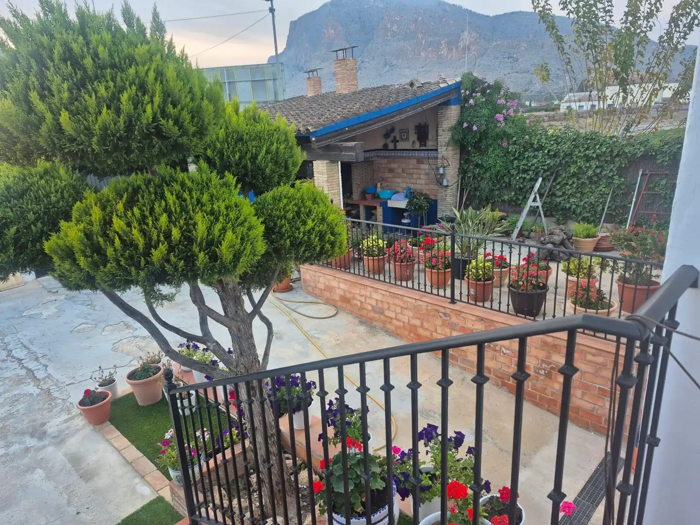 Casa con jardín en venta en Orihuela ciudad, imagen 7