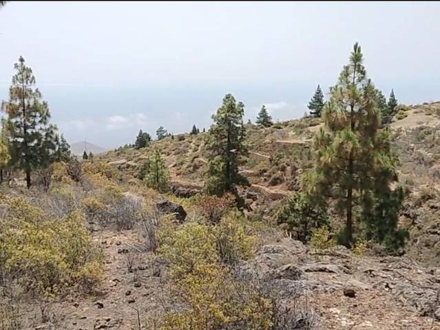 Terreno en Venta en Carretera, 292B en Fasnia