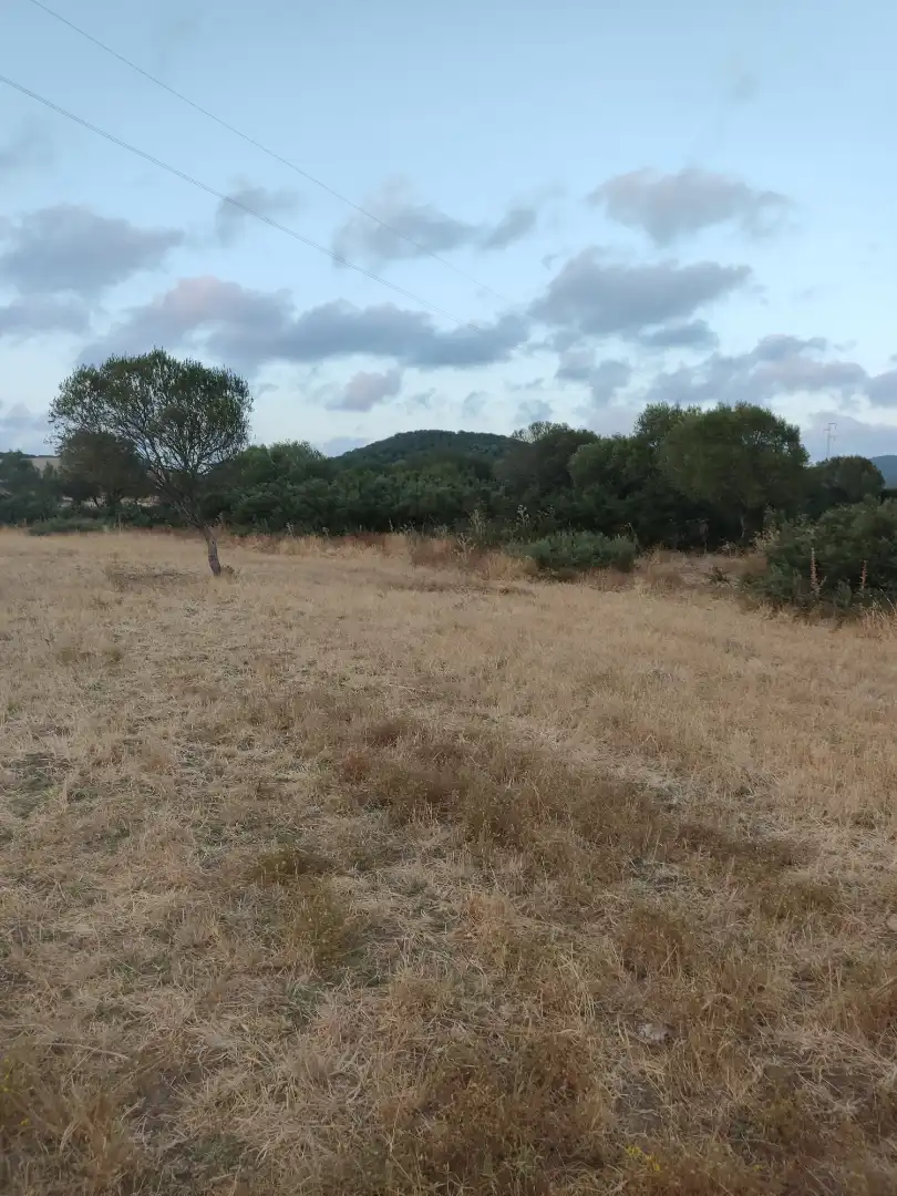 Land for sale in Vejer de la Frontera