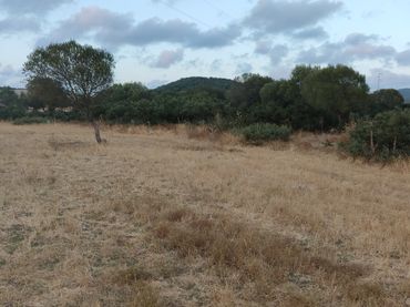 Terrain rustique à vendre à Vejer