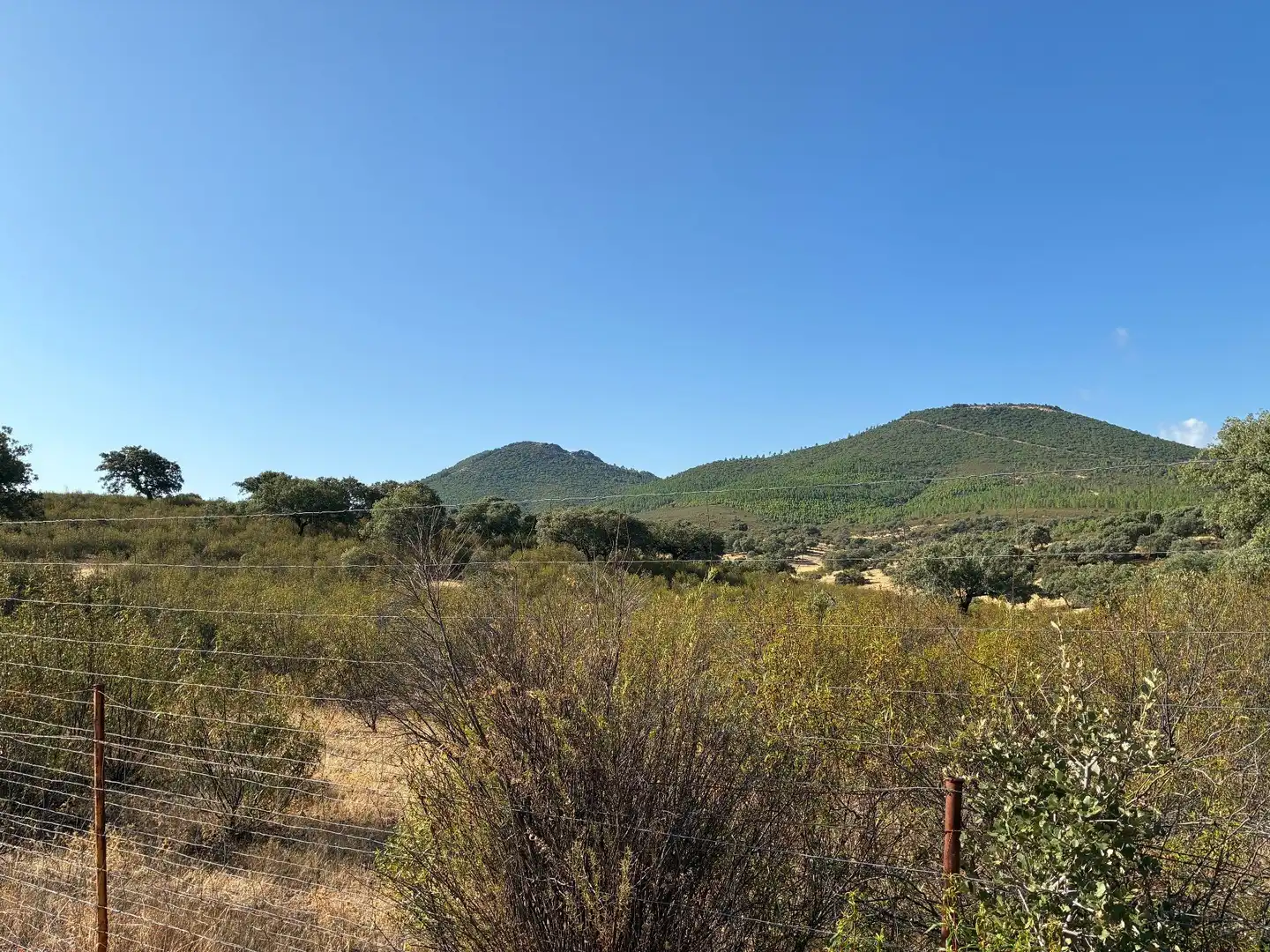 Rural land for sale in Puerto de San Vicente, imagen 19