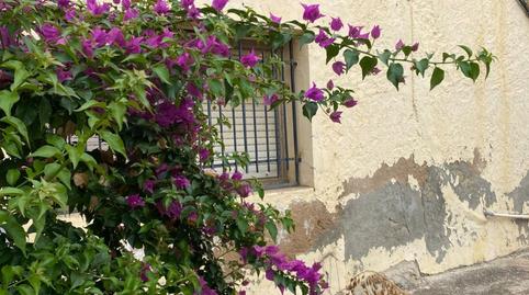 Foto 3 de Finca rústica en venta en Avenida Pais Valencia, 4, Sellent, Valencia