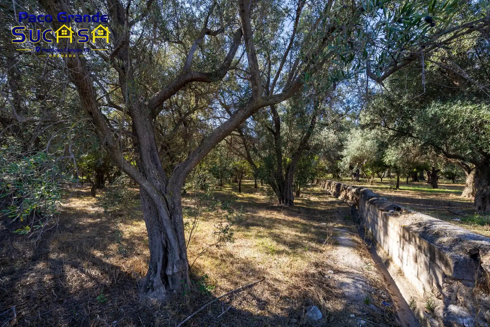 Terreno rustico in vendita a PINOS DEL VALLE, imagen 16