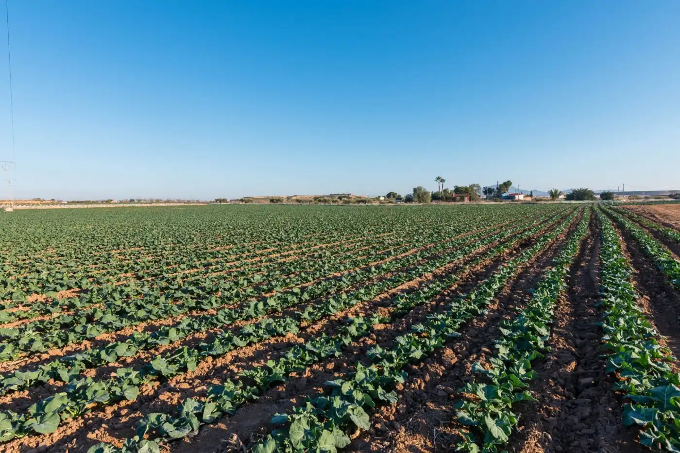 Finca rústica en venta en Alhama de Murcia
