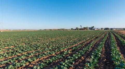 Photo 4 of Country house for sale in Condado de Alhama, Murcia