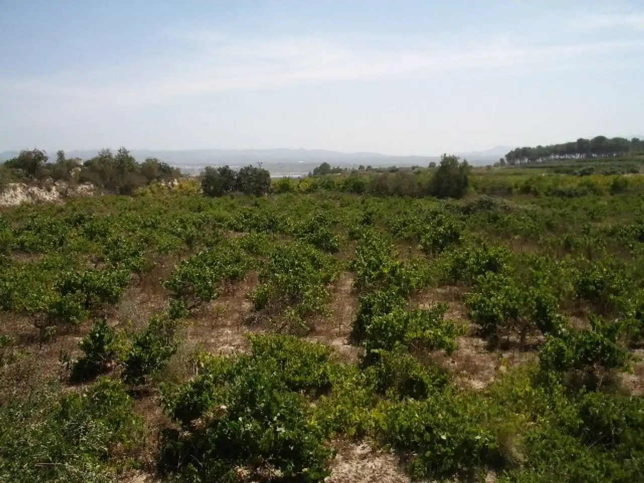 Terreno residencial en venta en Casa Marau