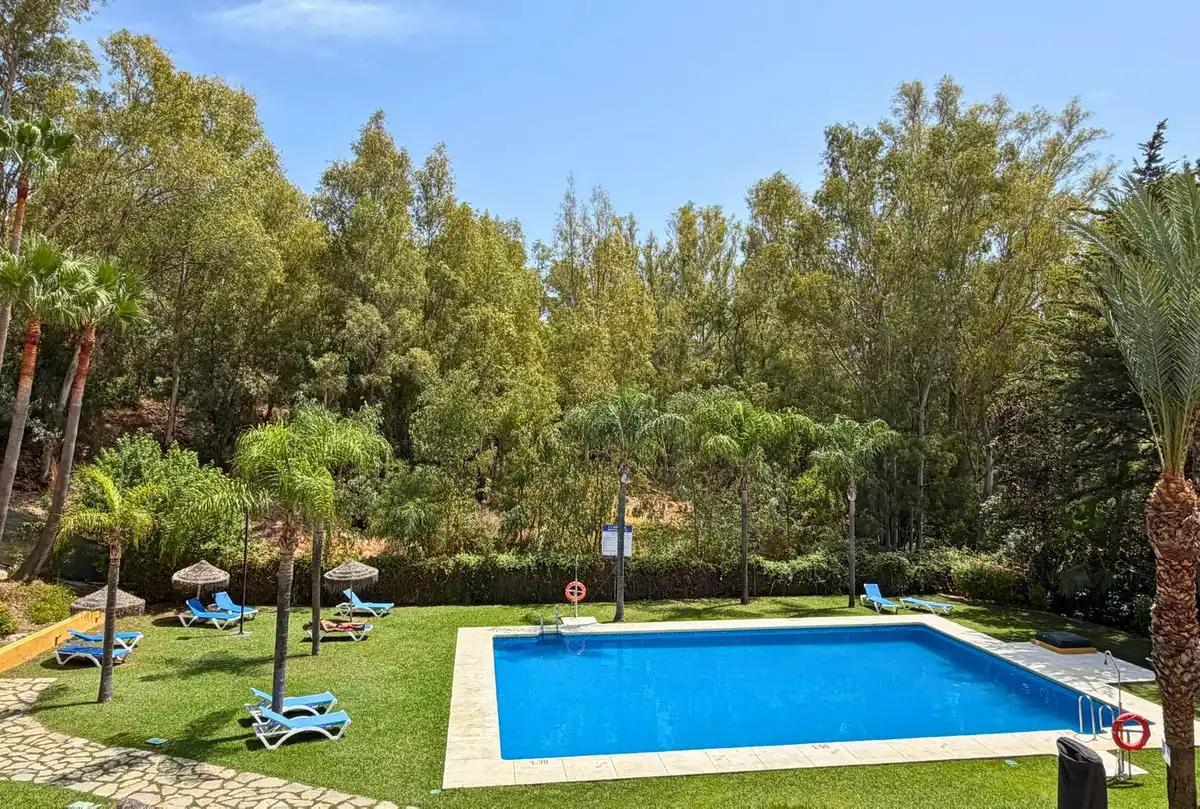 Piscina de Àtic en venda en Marbella amb Terrassa